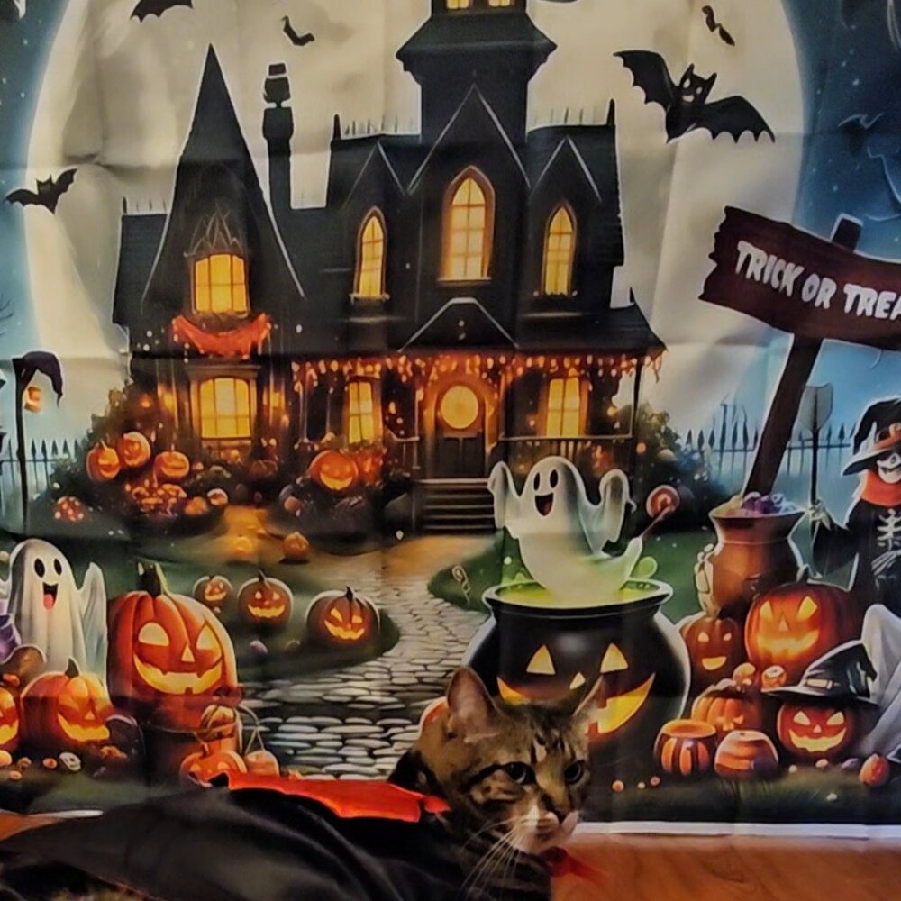 Halloween Scene Banner